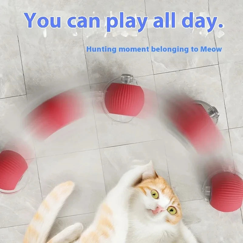 PawU Hunt & Play Ball™